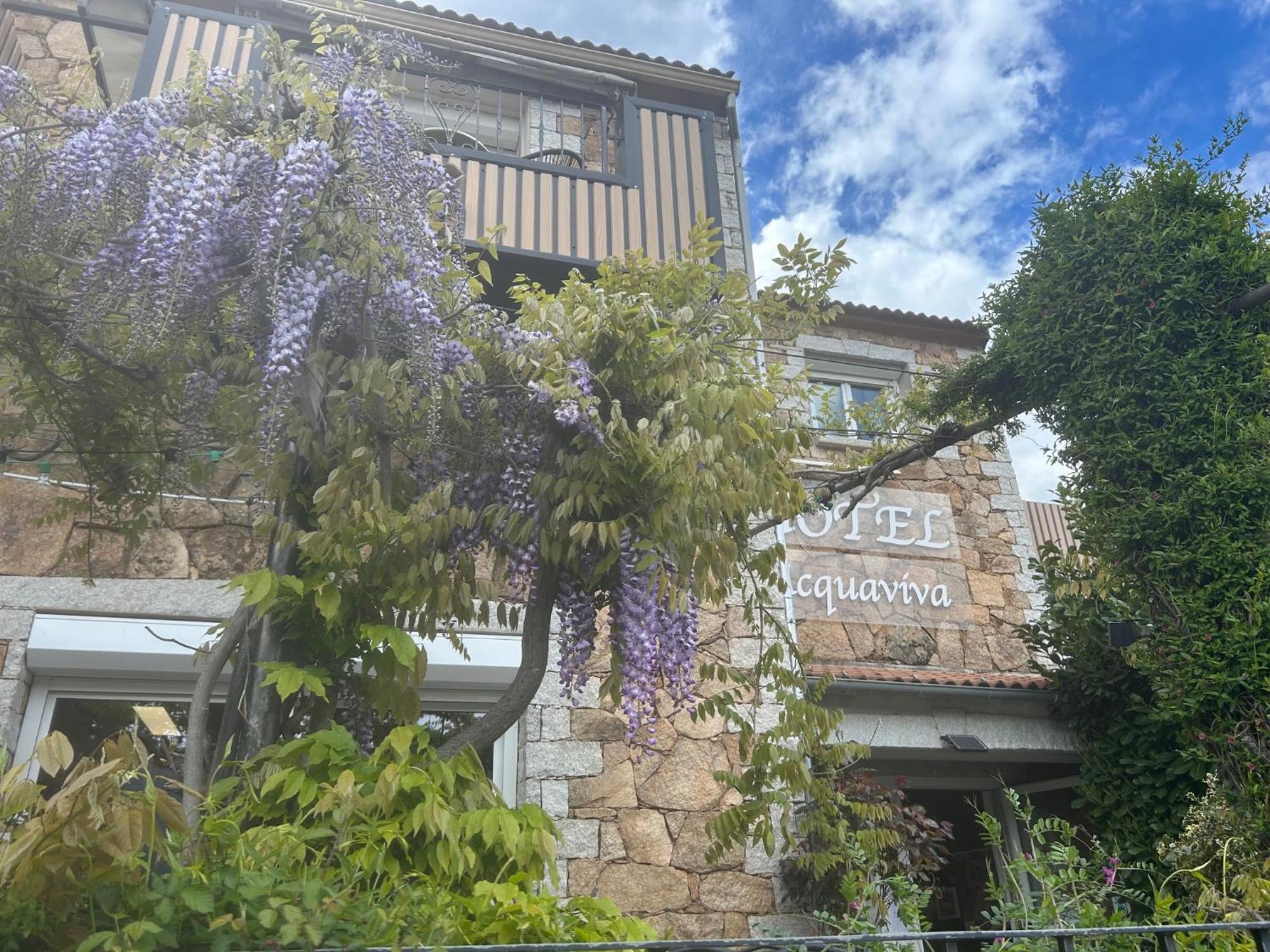 L'Acqua Viva Otel Calacuccia Dış mekan fotoğraf